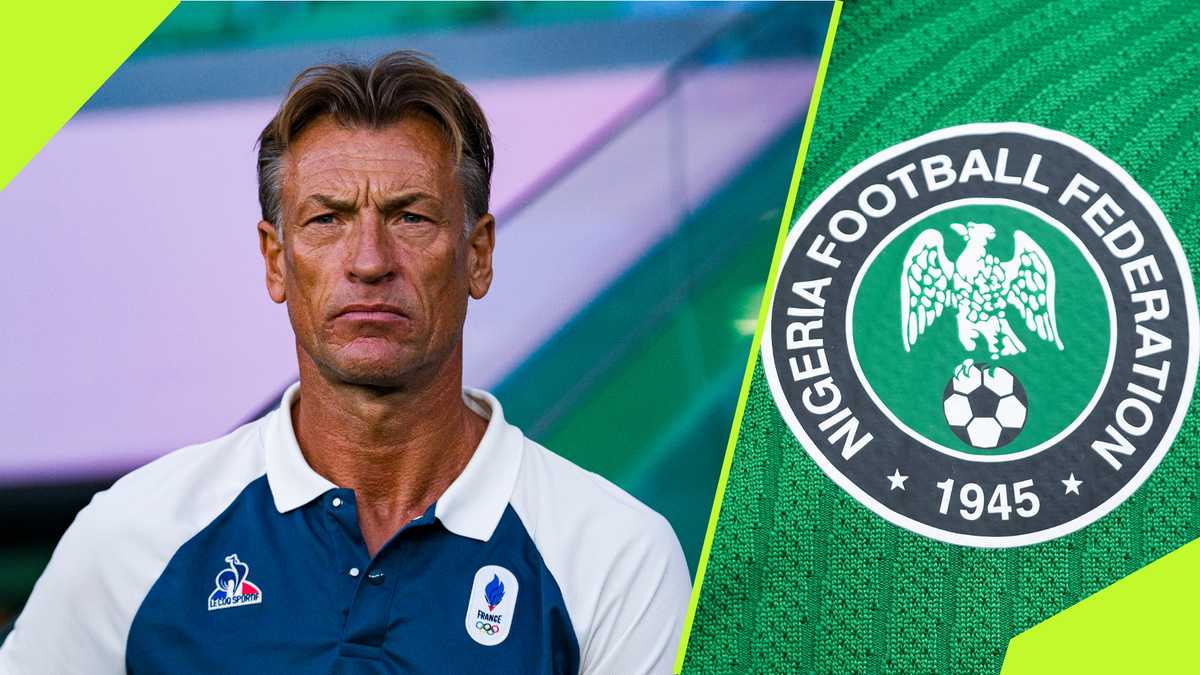 Herve Renard Explains the Reason Why He Rejected Super Eagles Coaching Job