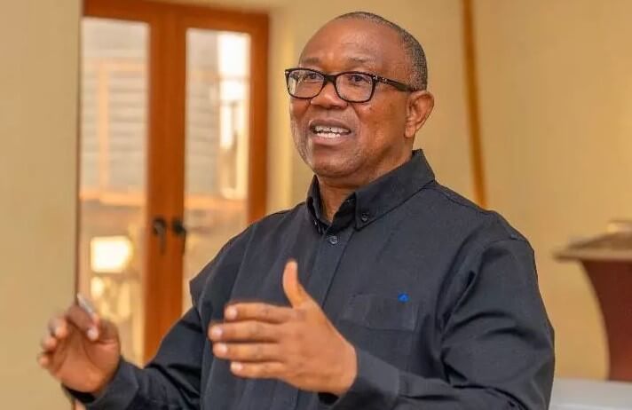 Our Nation Continues Its Dangerous Dance On The Edge Of Precipice - Peter Obi