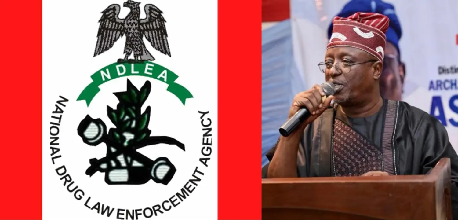 NDLEA vs Senator Ashiru: Lawyer urges anti-narcotics agency to address alleged internal corruption