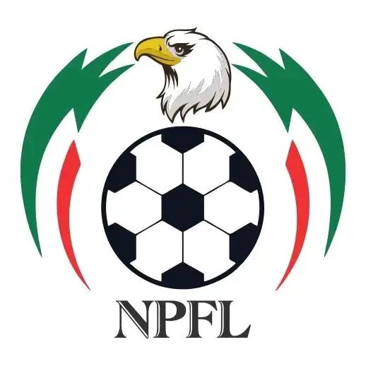 NPFL Fines Enyimba For Improper Conduct