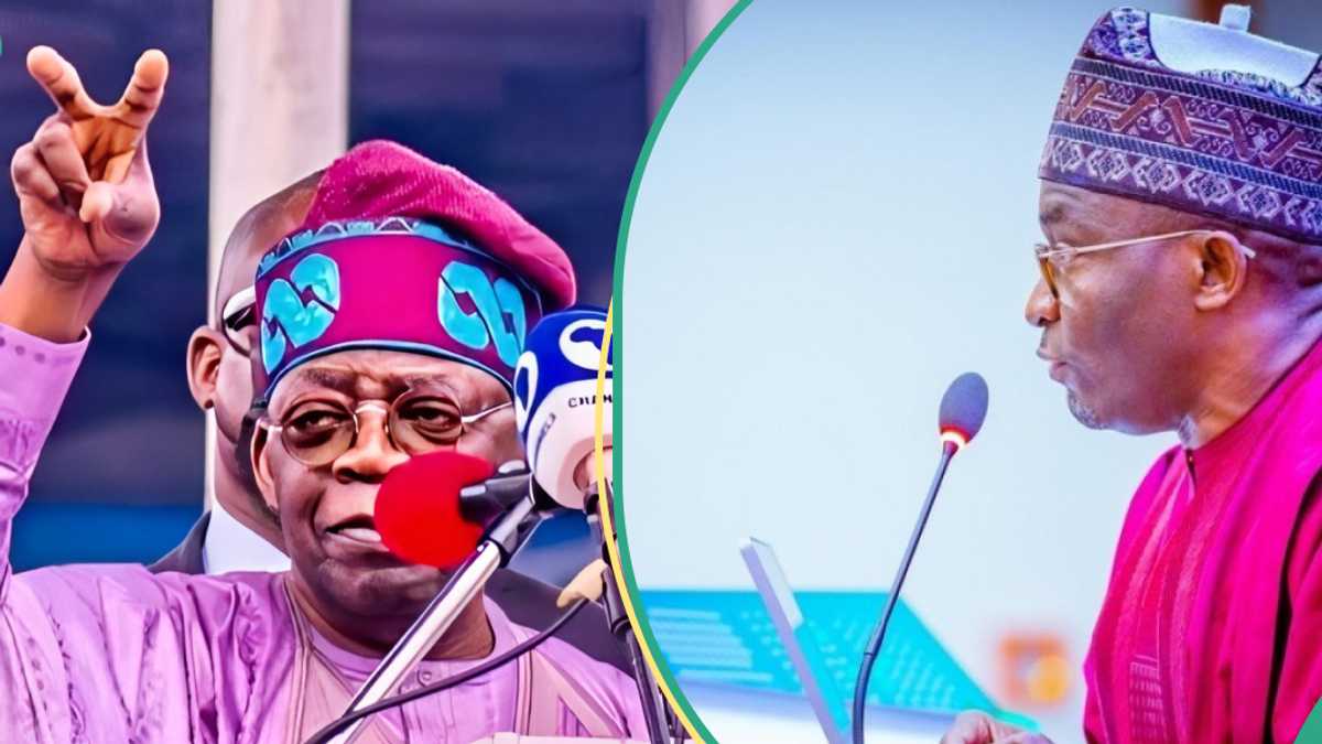 Nigerians React as Reps Move to Establish Bola Tinubu University, Details Emerge