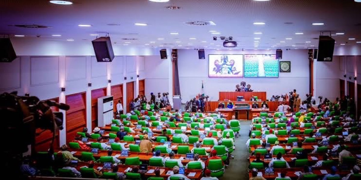 VeryDarkMan, Bobrisky: Reps to visit Lagos EFCC, correctional facility for investigations