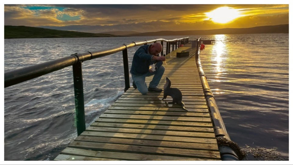 Molly started climbing onto the jetty at Billy's home for food.