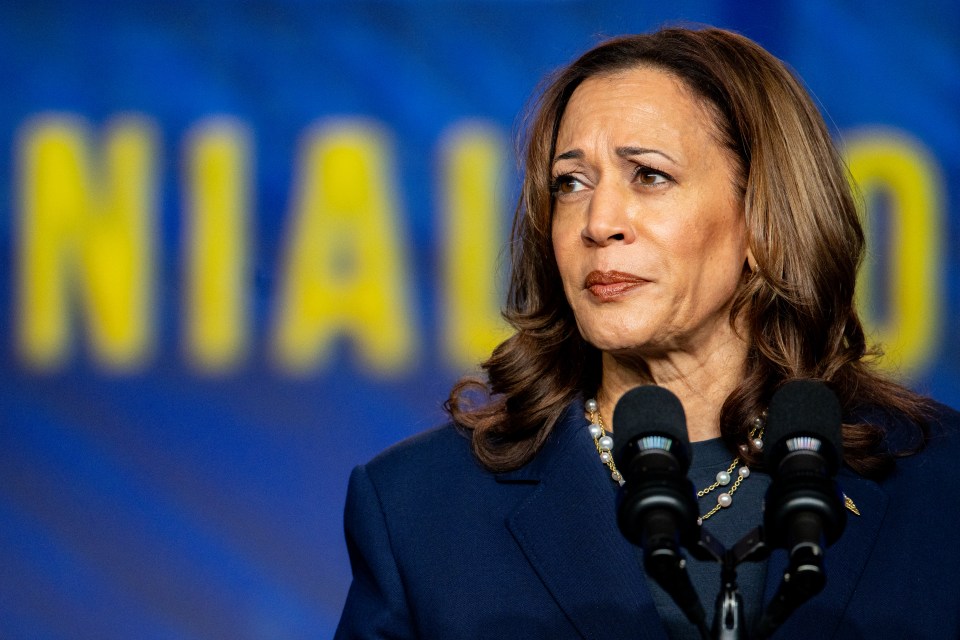 Harris' campaign was marred by a history of embarrassing Biden gaffes, claim some Dems