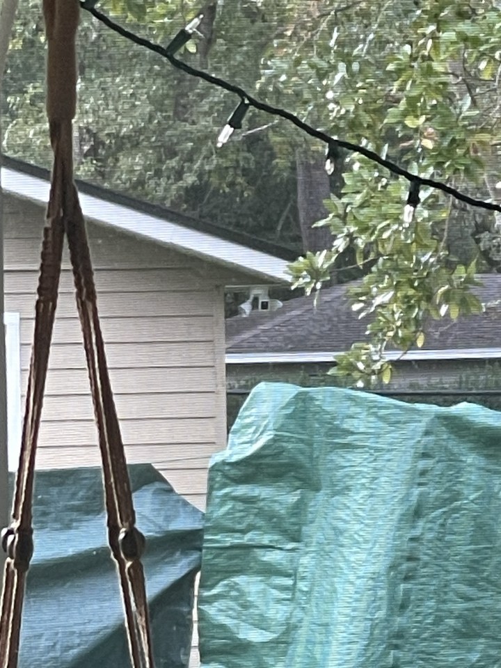 Unsure on what to do, the woman took to Reddit to share a snap of the camera, which is pointing directly into her garden and kitchen