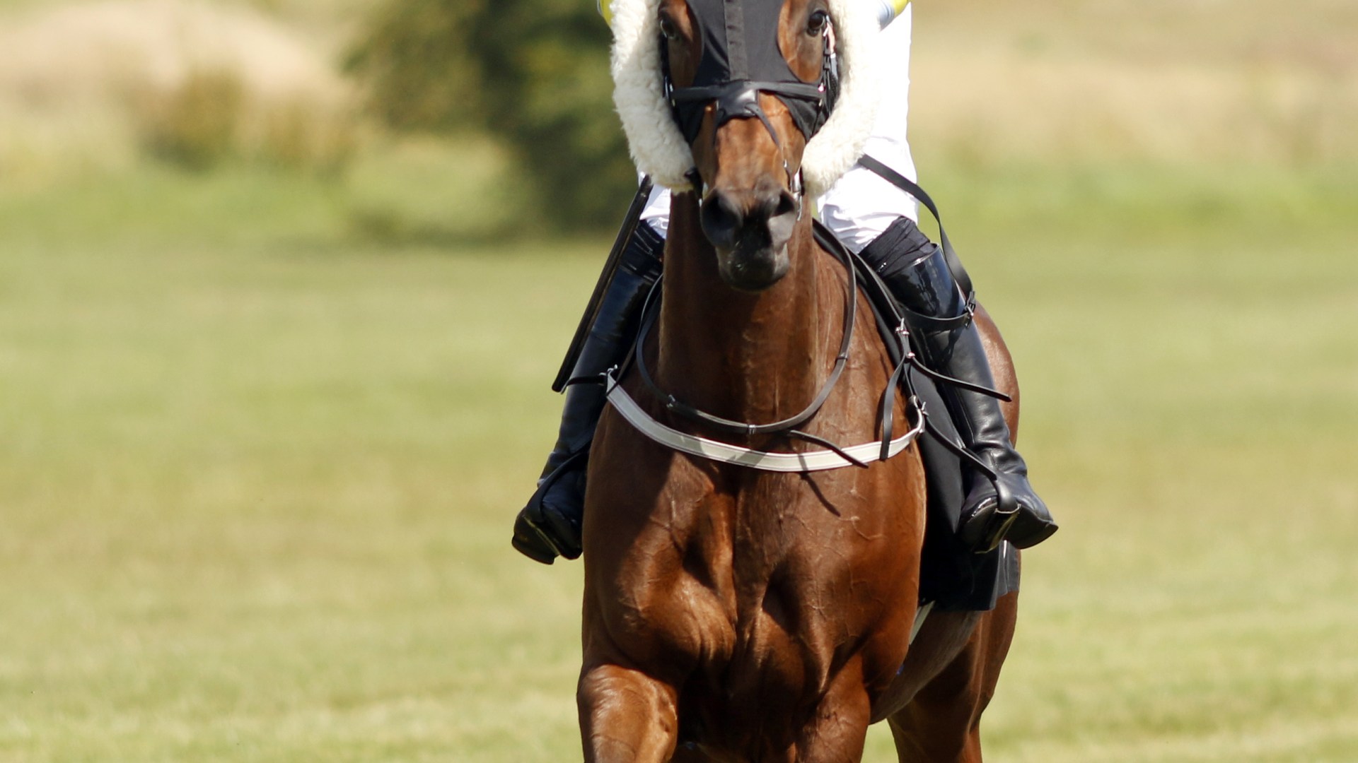 Young jockey gets six-month ban after testing positive for cocaine on day he rode 3-1 winner at Fakenham