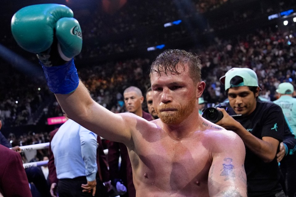 Canelo Alvarez has been called out by Jake Paul