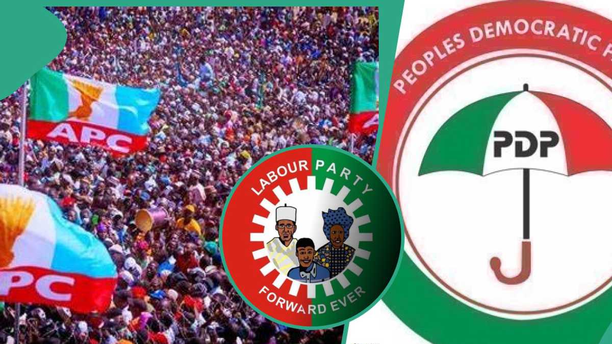 "75, 69...": Candidates' Age Released as APC, PDP, LP, Others Battle for the Soul of Ondo Nov 16