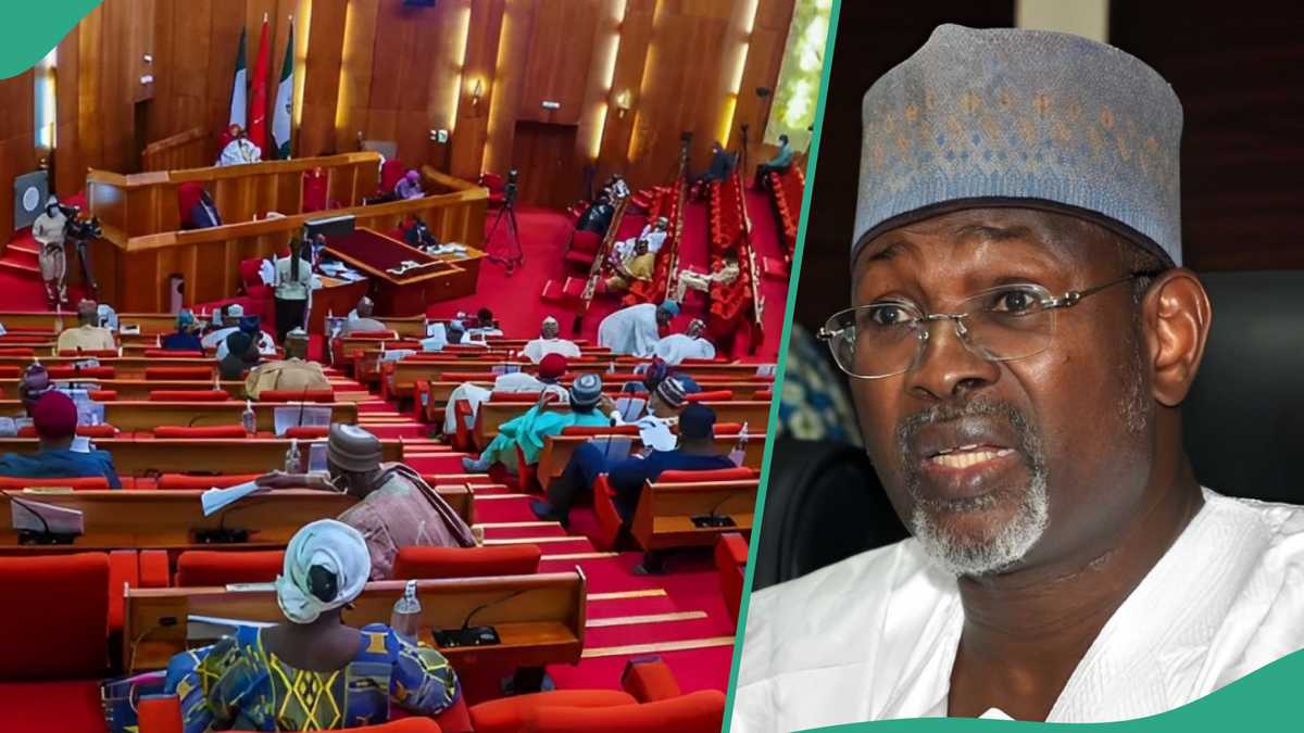 “How Lawmakers Pressure Officials to Manipulate National Budgets,” Ex-INEC Boss Speaks, Video Trends