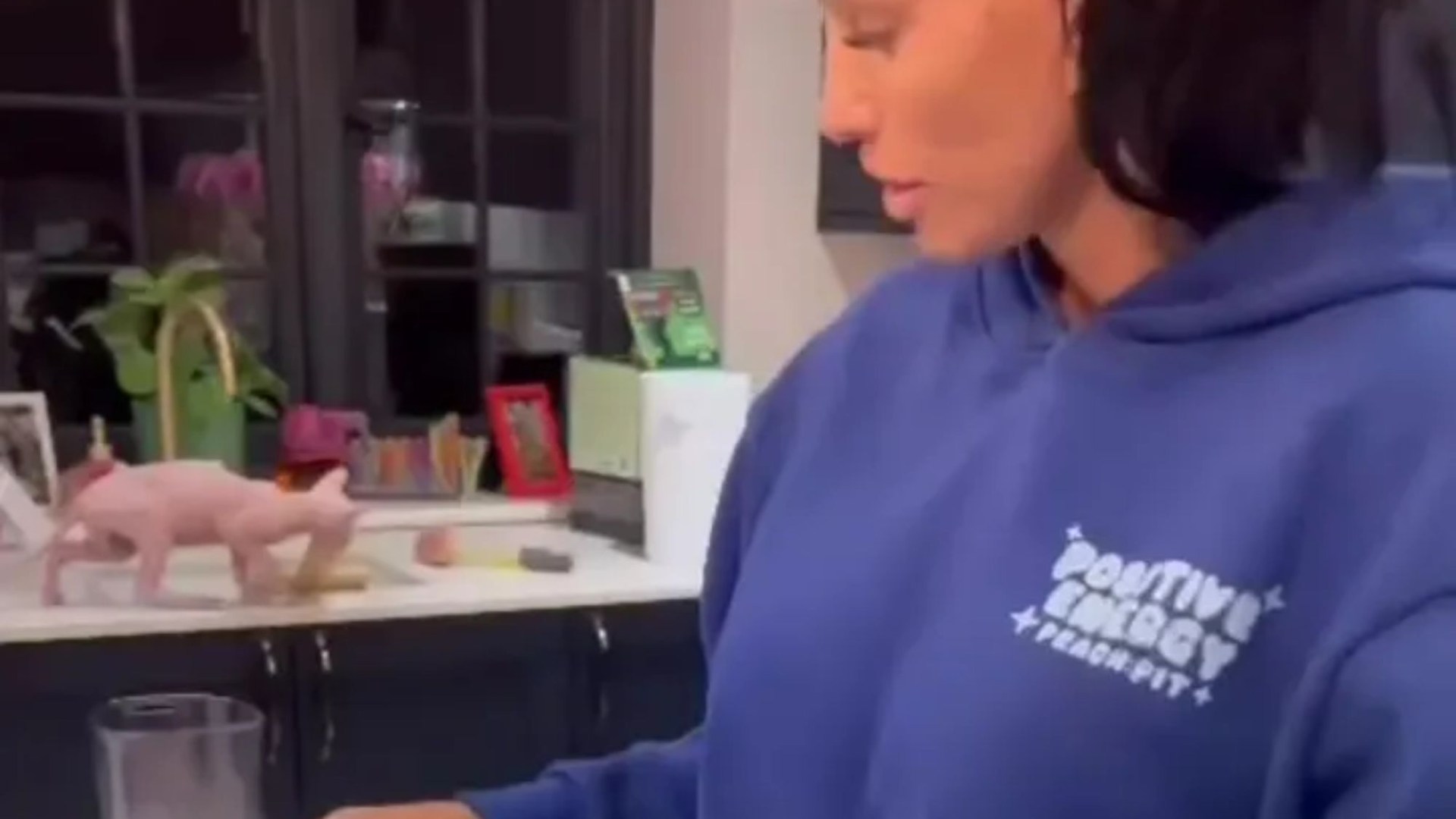 Katie Price fans horrified as they spot ‘gross and unhygienic’ detail in background of cooking video - did you see it?