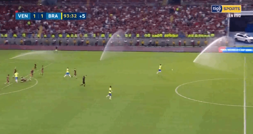 The referee stopped play as Brazil tried to start a new attack