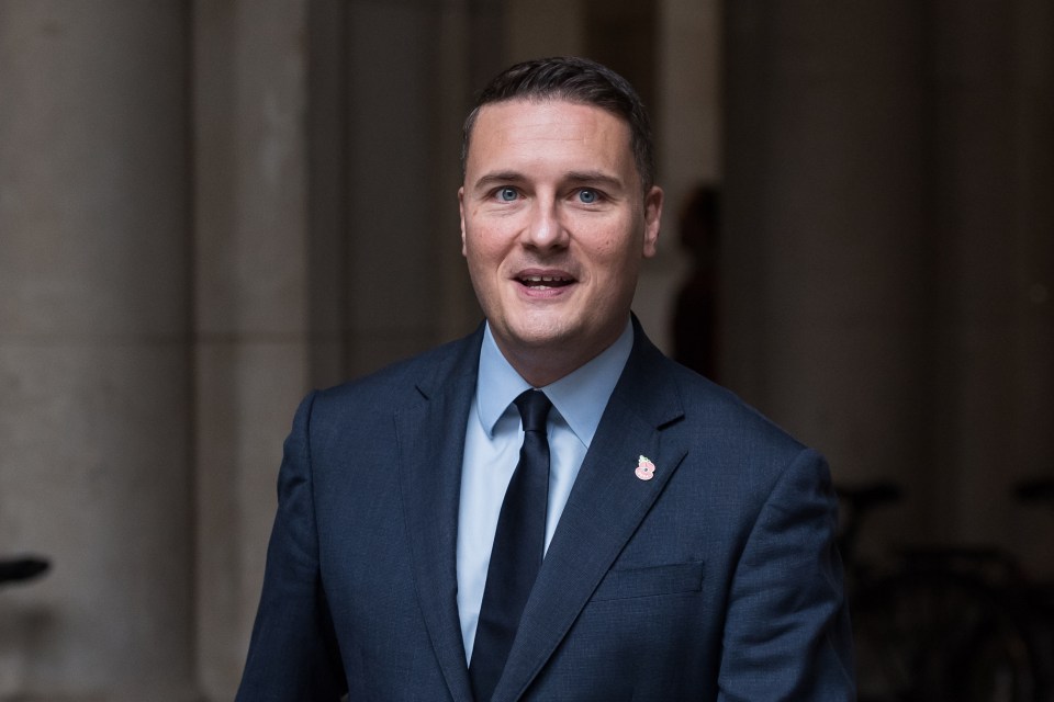 Health Secretary Wes Streeting urged people to research the risks and think twice before flying abroad to get work done