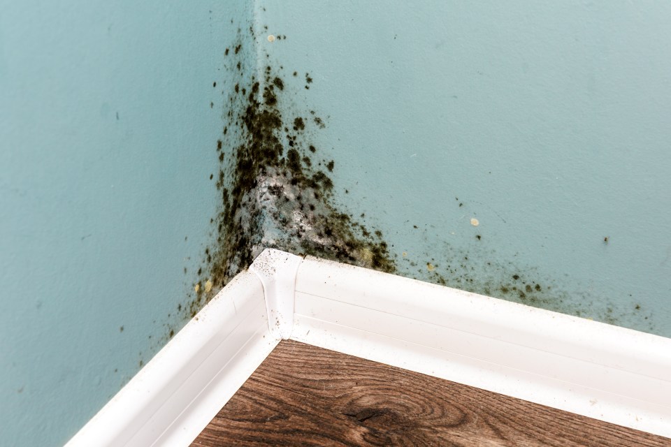 But experts have shared their top tips on how to protect your home from it