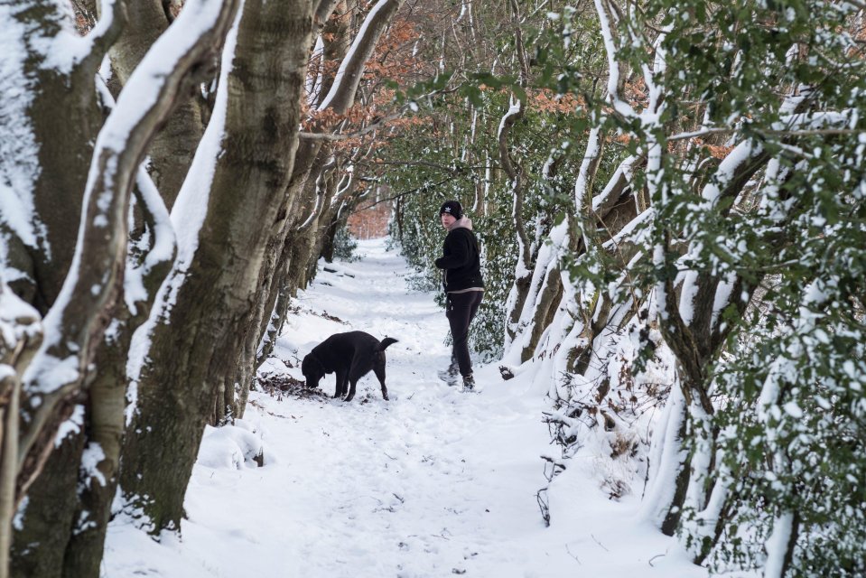 The first snowfall will arrive tomorrow