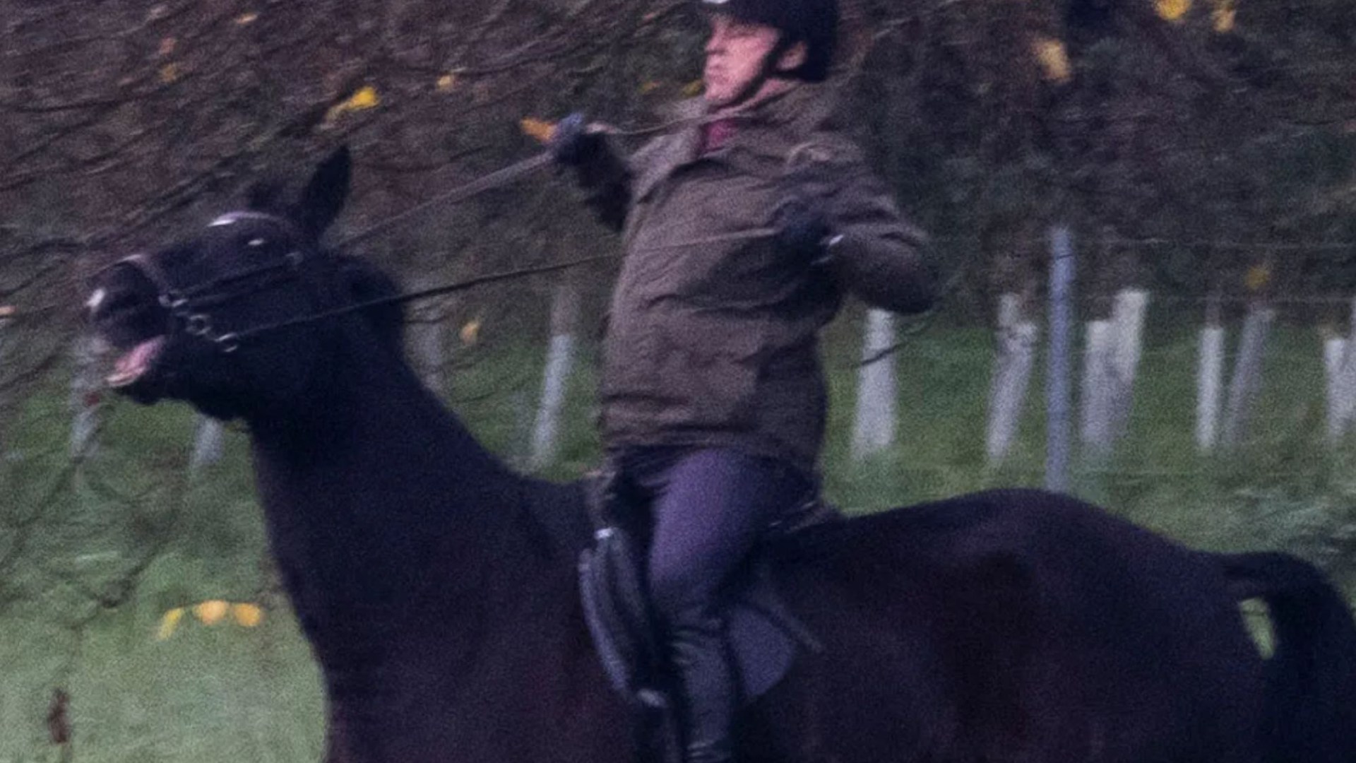 Prince Andrew's horse nearly throws him off saddle after King Charles' bid to push him out of Royal Lodge