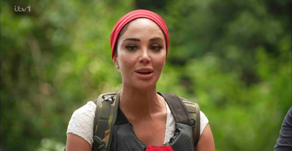 The woeful weather means stars like Tulisa could even face more pests at base than during any of the trials