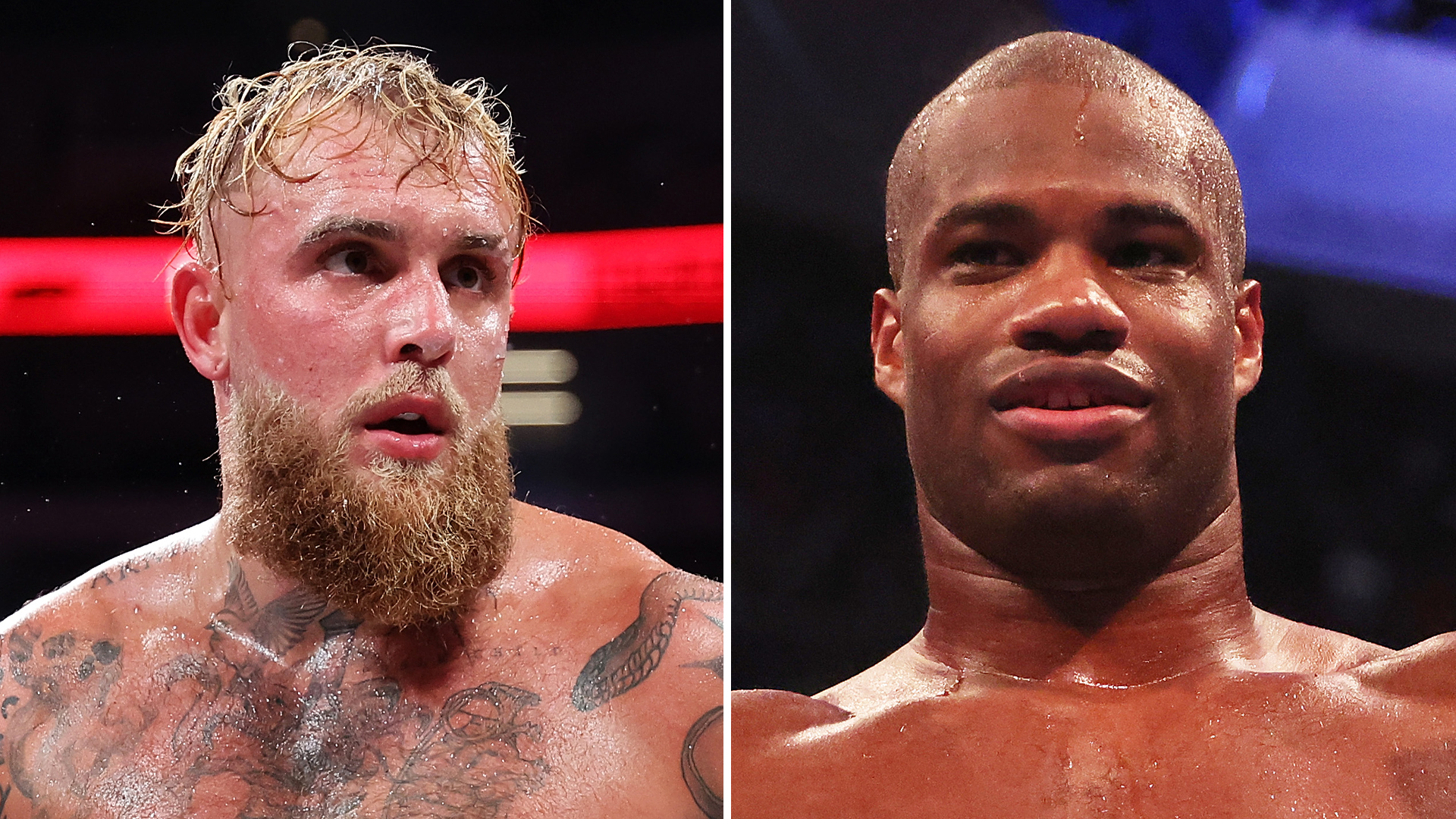 Jake Paul leaks DM from Daniel Dubois calling him out for world title fight after Mike Tyson Netflix bout