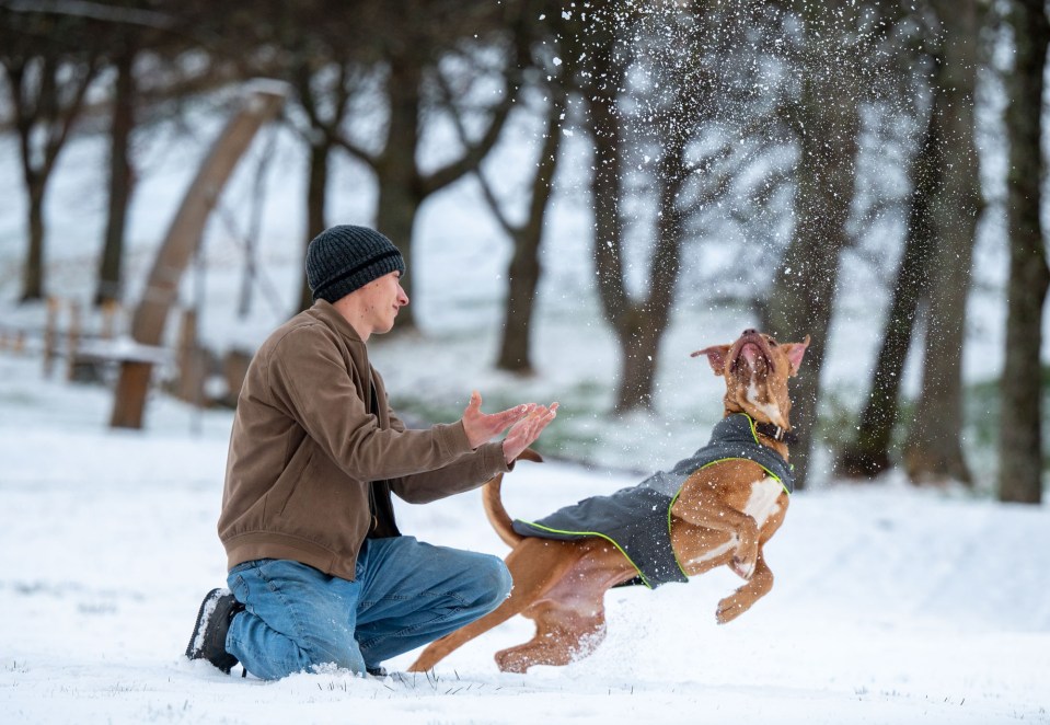 In the north, bone-chilling lows of -11C were recorded