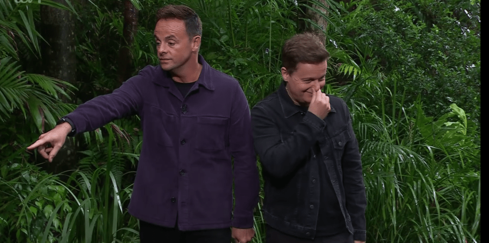 Ant and Dec giggled while they struggled with the task