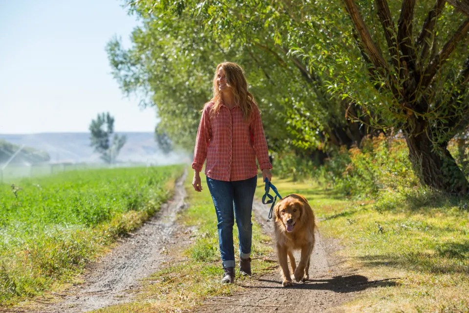 Huge rule change for dog walkers in parks could see thousands of pet owners BANNED – are you one of them? – The Scottish Sun