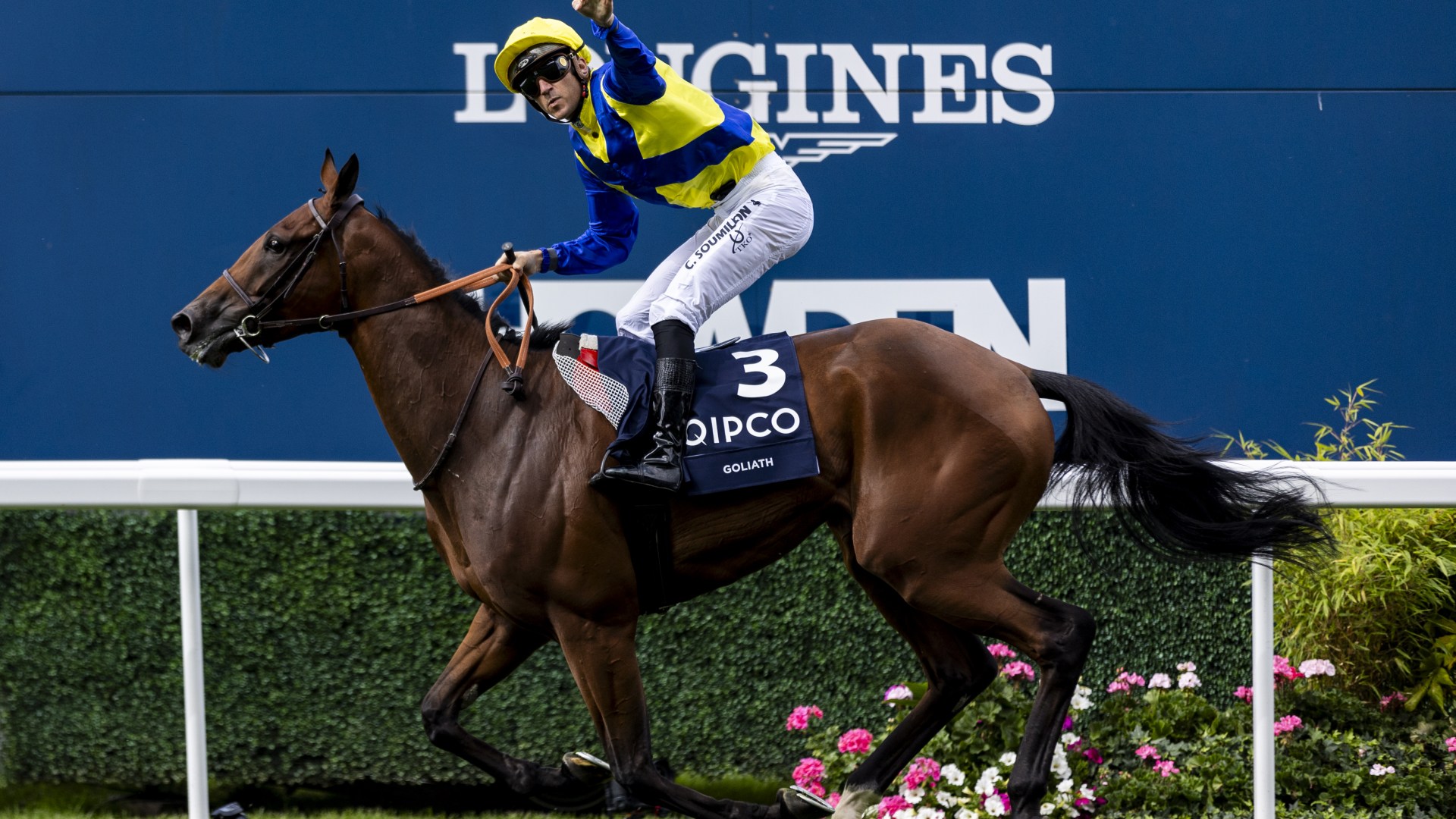 Millionaire banker who started on Toyota factory floor pledges to build replica of Ascot racecourse on his 800-acre farm