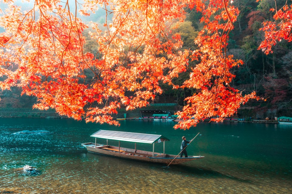 Boatman pushing traditional boat on Katsura river in autumn, Japan