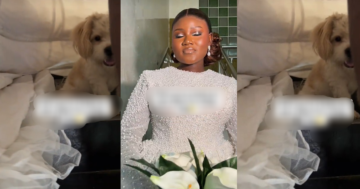 "The dog came for the wedding" – Nigerian bride's clingy dog hid underneath her bridal dress on wedding day (WATCH)