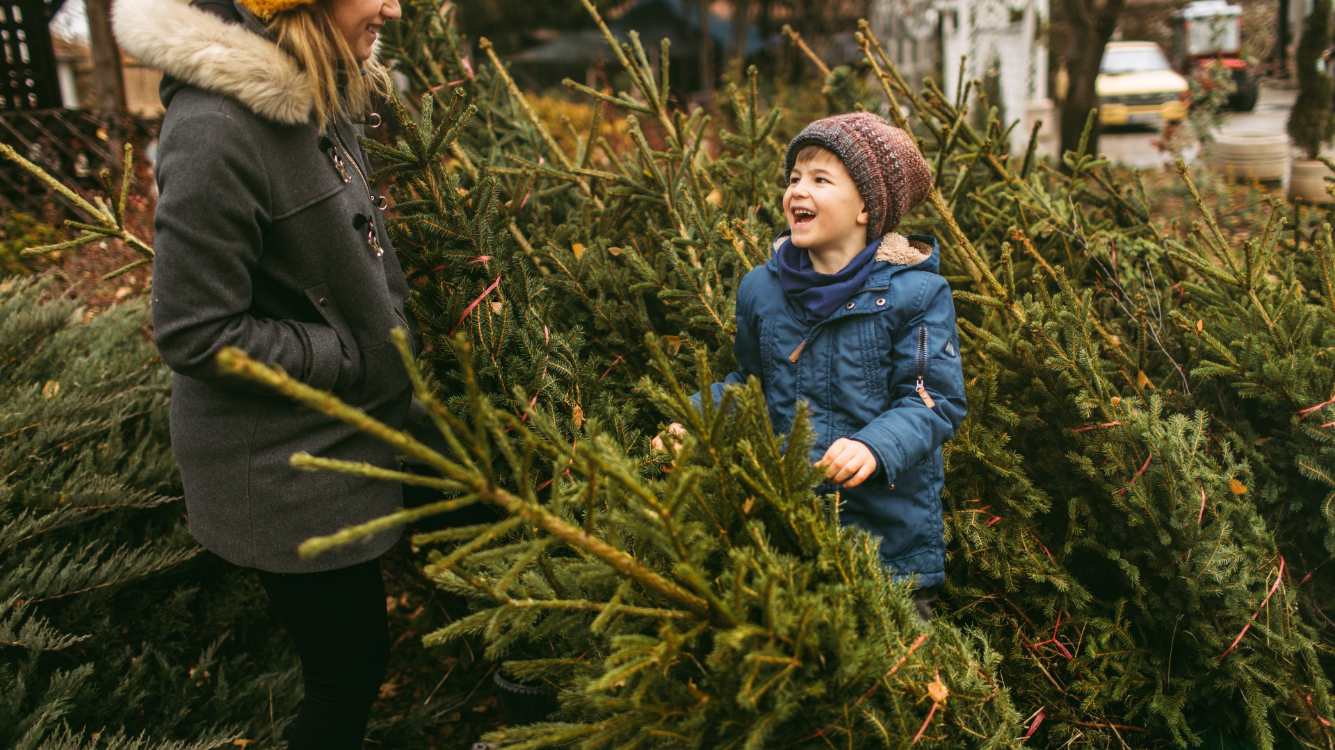 Three savvy ways to keep your Christmas tree looking perfect over the festive season