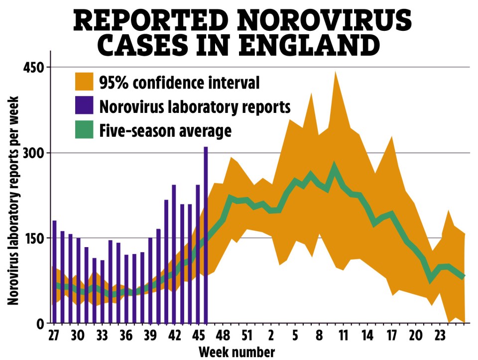 Norovirus surged by 31 per cent in the two weeks leading up to November 17