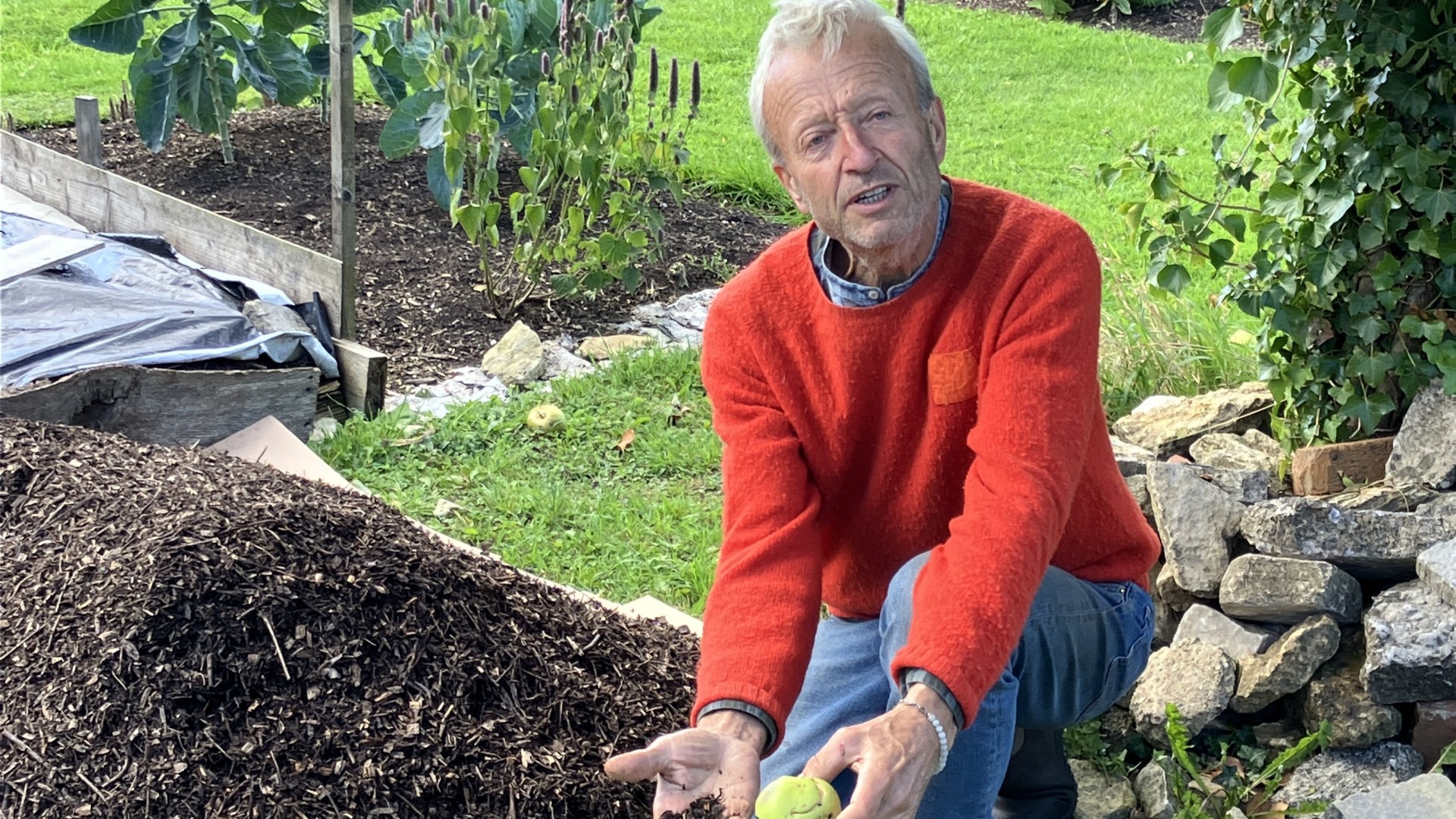 I've transformed my Winter garden with a £6.49 bag of 'black gold'