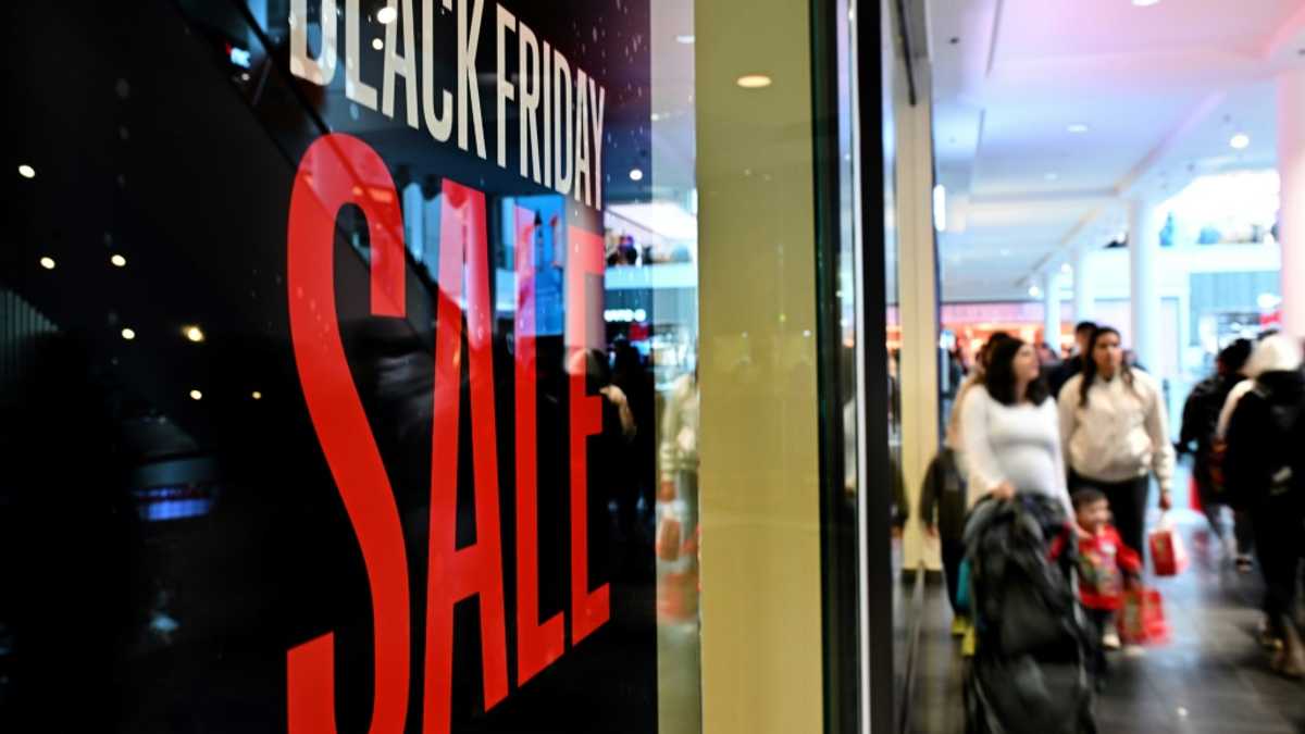 US 'Black Friday' online spending put at record $10.8 bn