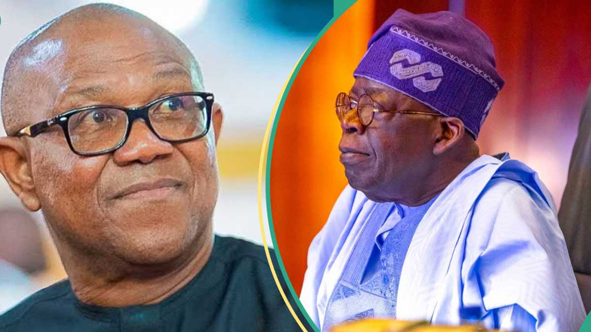 2027: Peter Obi's Ally Expresses Strong Confidence in LP Chieftain Defeating Tinubu, Shares Strategy