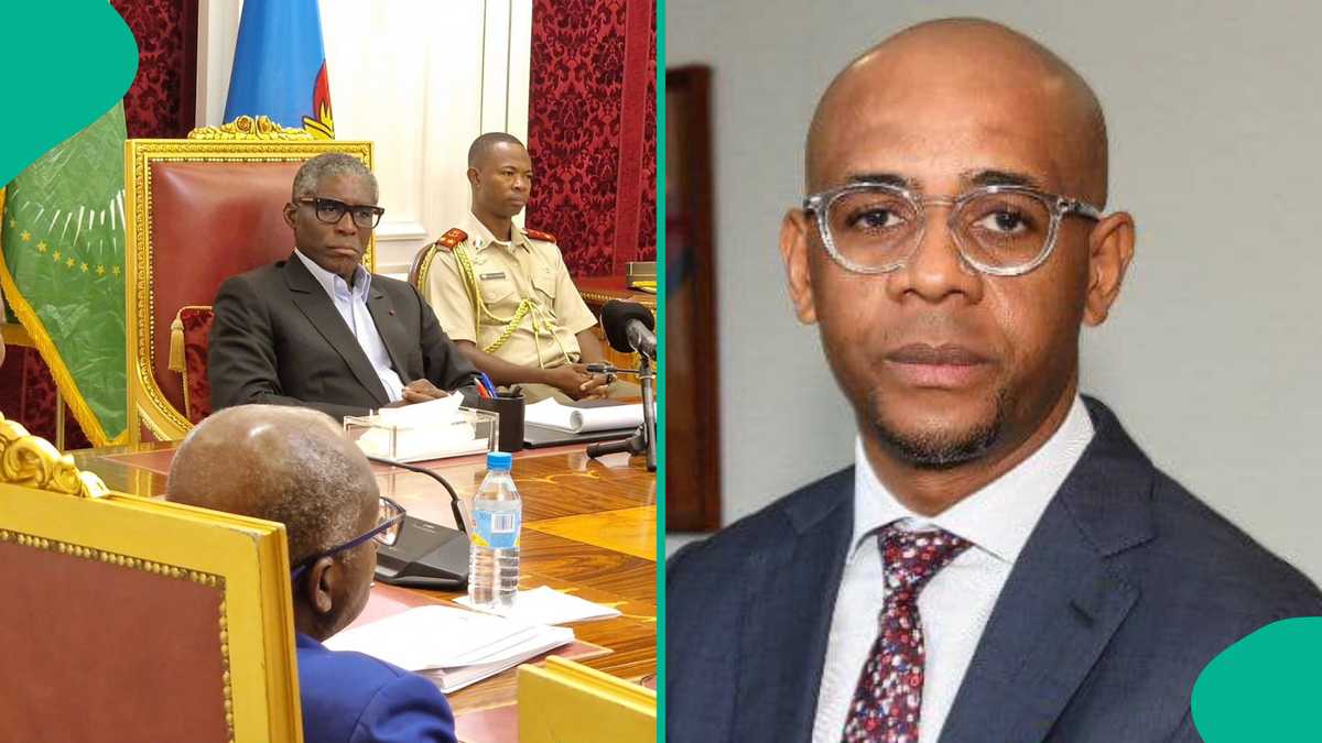 Baltasar Engonga: Equatorial Guinea Government Suspend All Officials Seen in Over 400 Videos