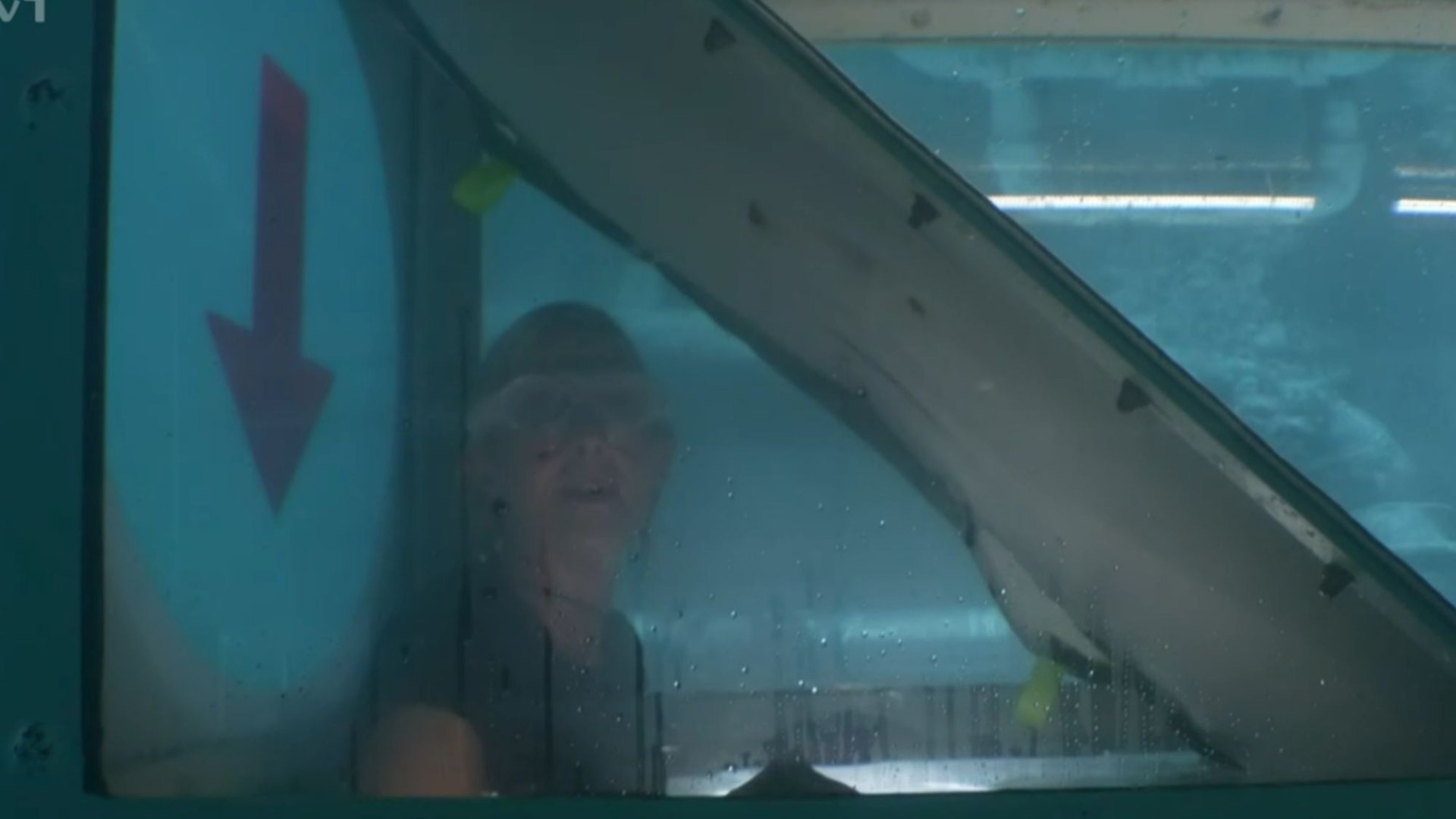 Brave I'm A Celebrity star Jane Moore praised by Ant and Dec after dramatic underwater Bushtucker Trial