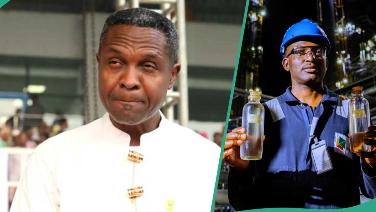 Can Fuel Price Drop to N700 Per Litre? Tonye Cole Speaks in Video