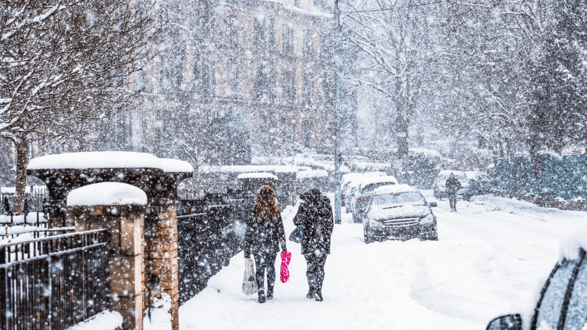 Exact date Scotland to be hit by seven-day snow flurry as weather map shows dramatic winter plunge