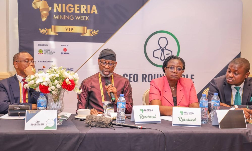 FG Working To Remover Barriers To Business - Dele Alake