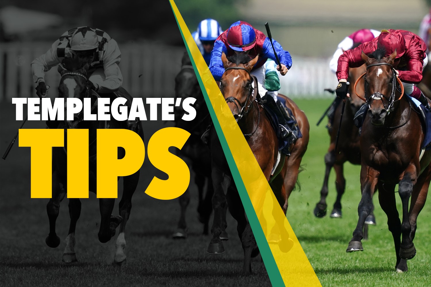 Horse racing tips: Templegate's 10-3 NAP runs best fresh and returns from long lay-off ready to roll