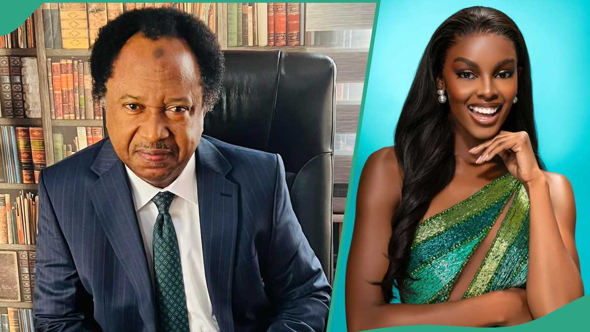 Miss Universe 2024: Shehu Sani Reacts As Chidimma Adetshina Makes History, Emerges First Runner-Up