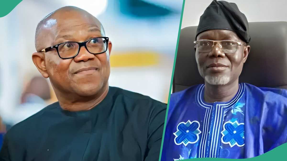 Ondo Election: “How Peter Obi, NLC Contributed to My Defeat,” LP Candidate Speaks