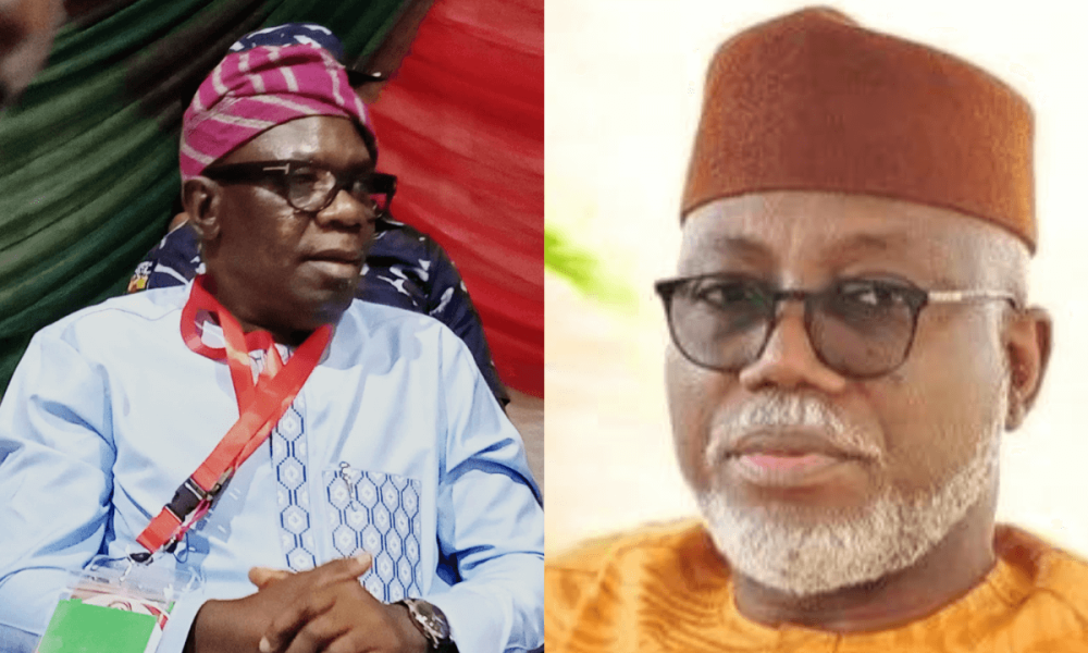 Ondo Election: Politicians Induce Voters With Rice, Fertilizer, Cassava - Yiaga Africa