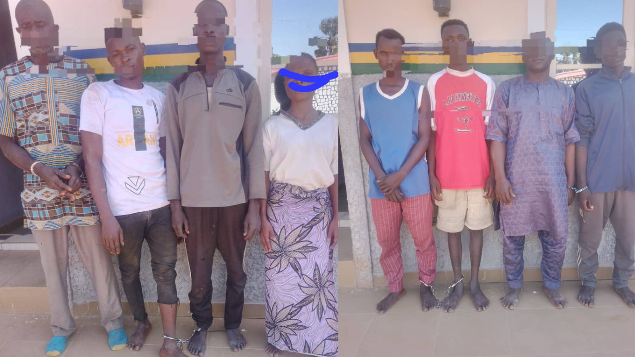 Police Arrest 6 Kidnappers, Cattle Rustler, Vandals In Kaduna