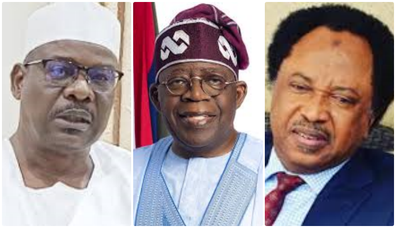 Senators Ndume, Sani Differ As Controversy Over Reform Tax Bill Rages