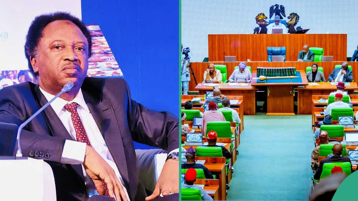 Shehu Sani Reacts As Reps Reject Bill Proposing 6-Year Single Tenure for President: “Chop and Go”