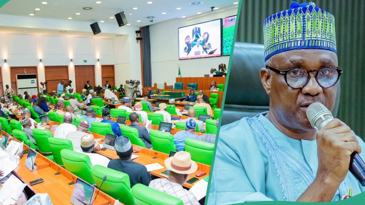 "You're Distracting Me": Drama as Speaker Warns Reps Members During Plenary Session, Video Trends