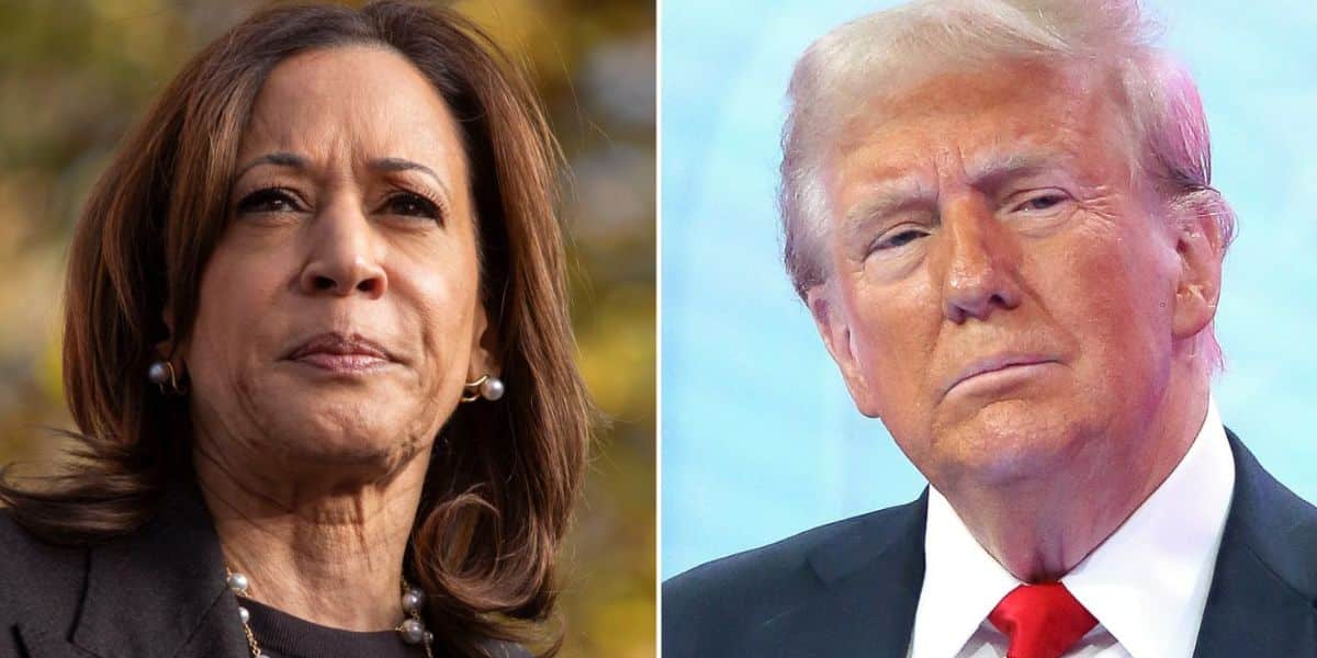 List of states won by Trump and Kamala with their electoral votes value