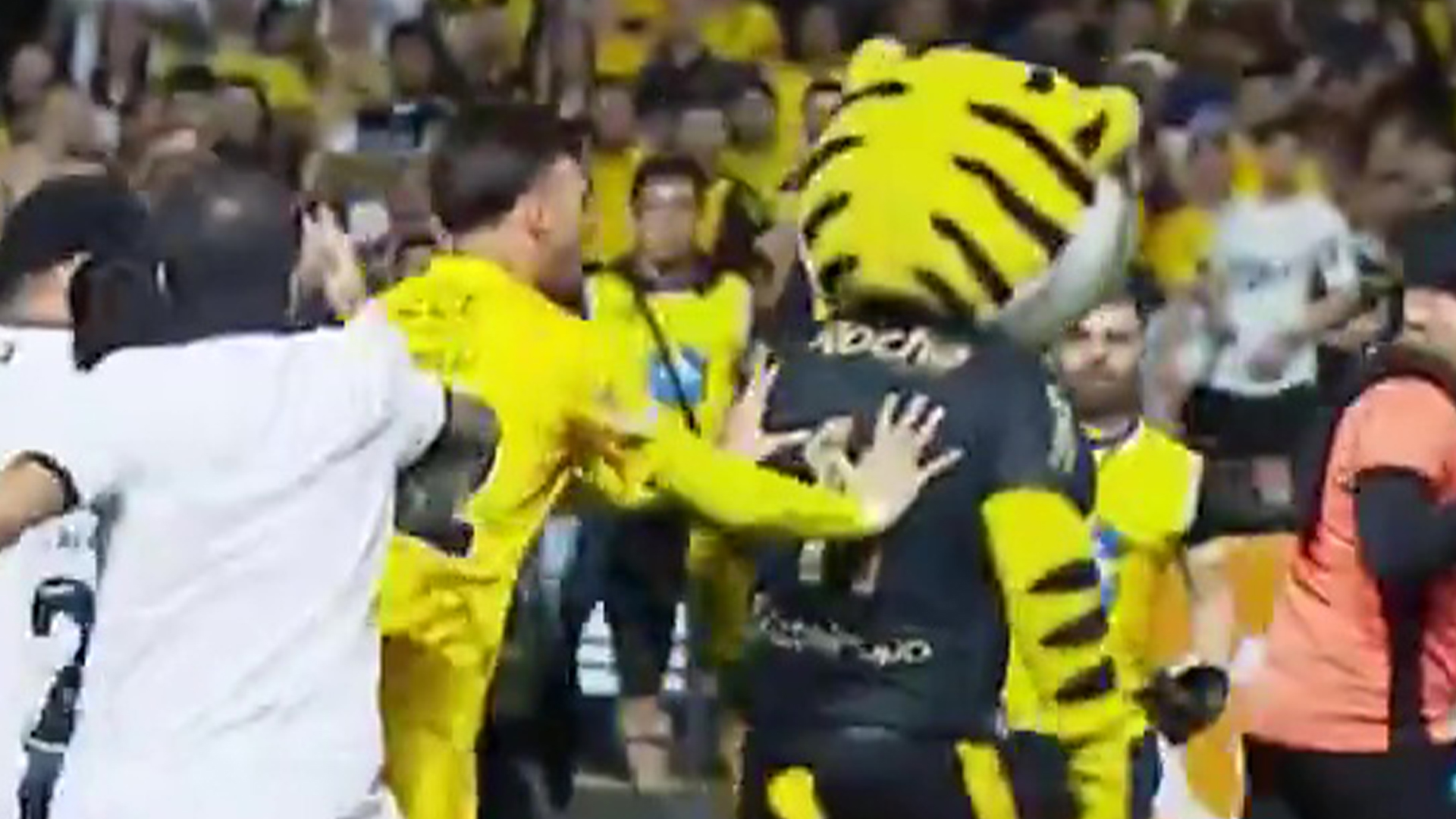 Club mascot provokes opposition players, starts a fight, gets sent off and then does Ronaldo's siu celebration