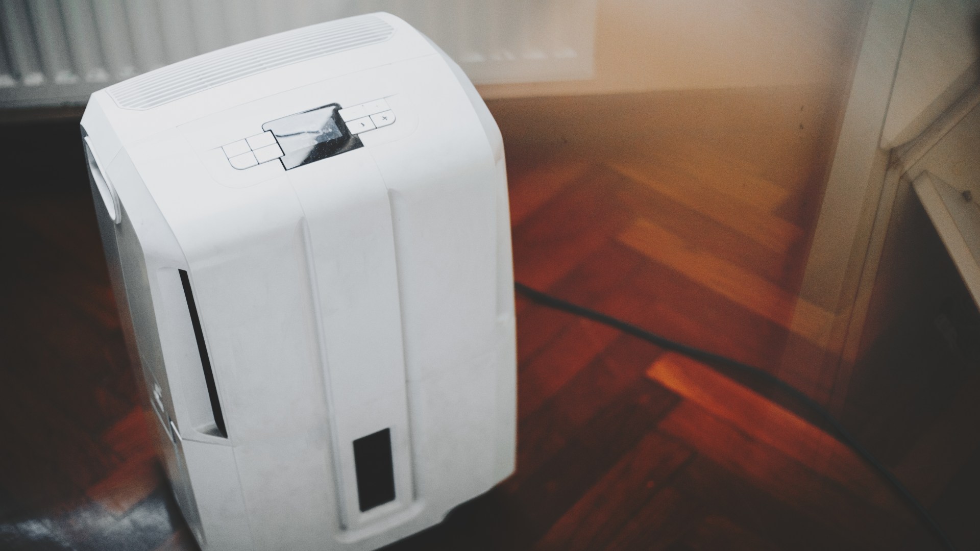 The secret part of a dehumidifier you need to clean once a fortnight & why you should NEVER switch it off at the mains