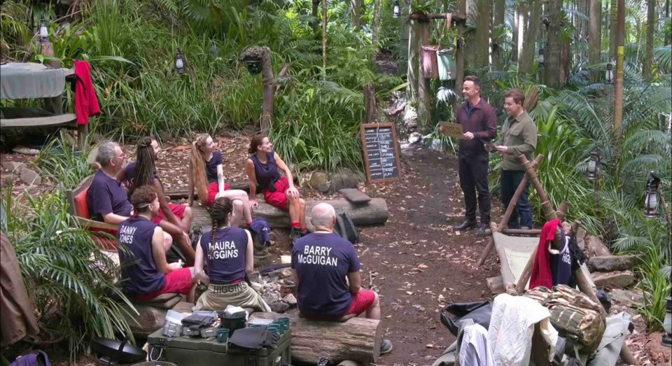 Ant and Dec split the camp into two groups