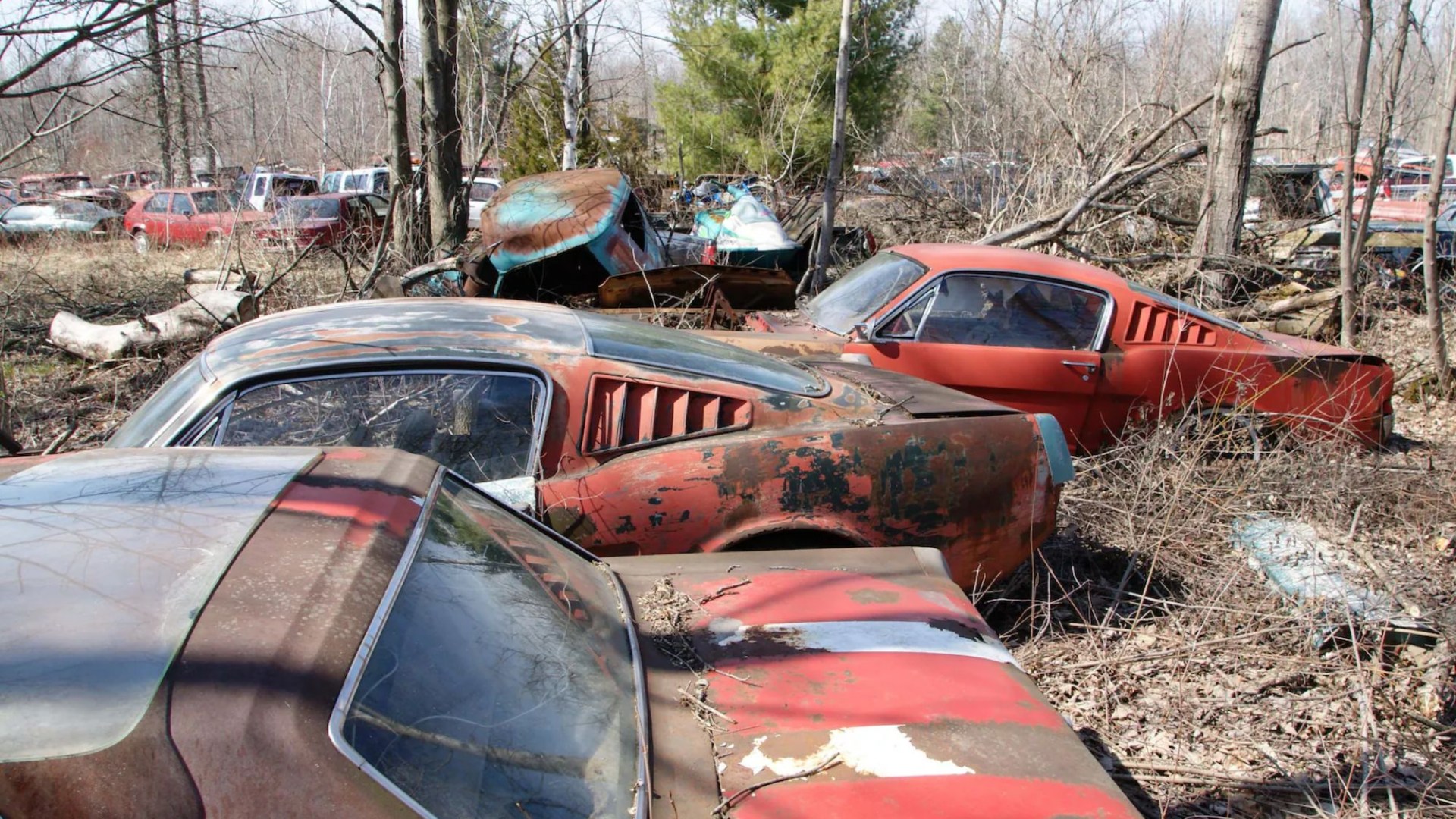 Explore incredible classic car junkyard with amazing motors forgotten by time - including Mustangs, GTOs and Corvettes